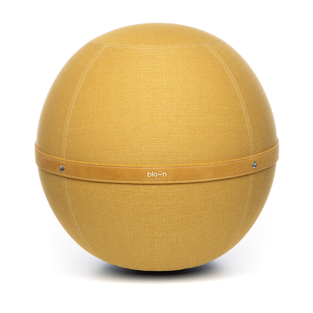Siège ballon ergonomique - Original Regular - Safran